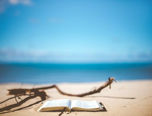 14 libros que leer este verano si te interesan las energías verdes