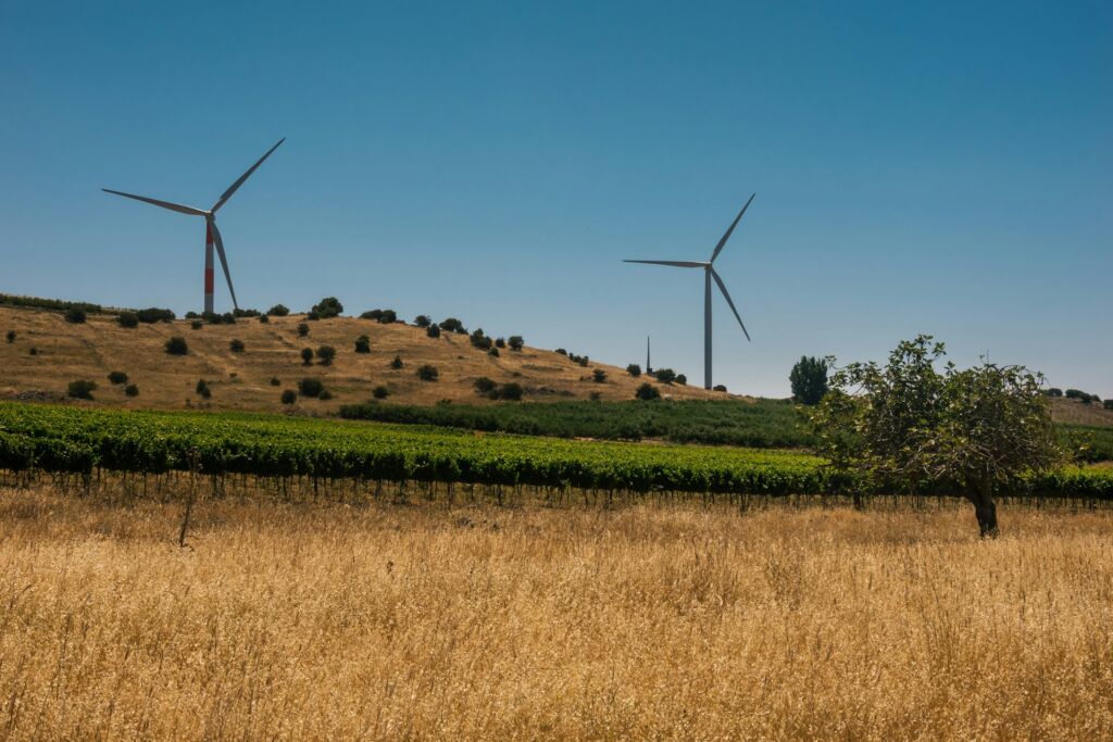 molinos viento